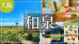 SUB 【大人の女ひとり旅】大阪・和泉　一日乗車券買ったら還元率良すぎてビックリしすぎた！ screenshot 5