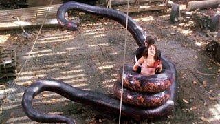 Killer Anaconda 1991 Explained In Hindi |Movie Explain In Hindi