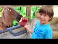 Anabella and Bogdan Wild Adventure: Kids Stranded in a Drive Thru Zoo Safari with Animals