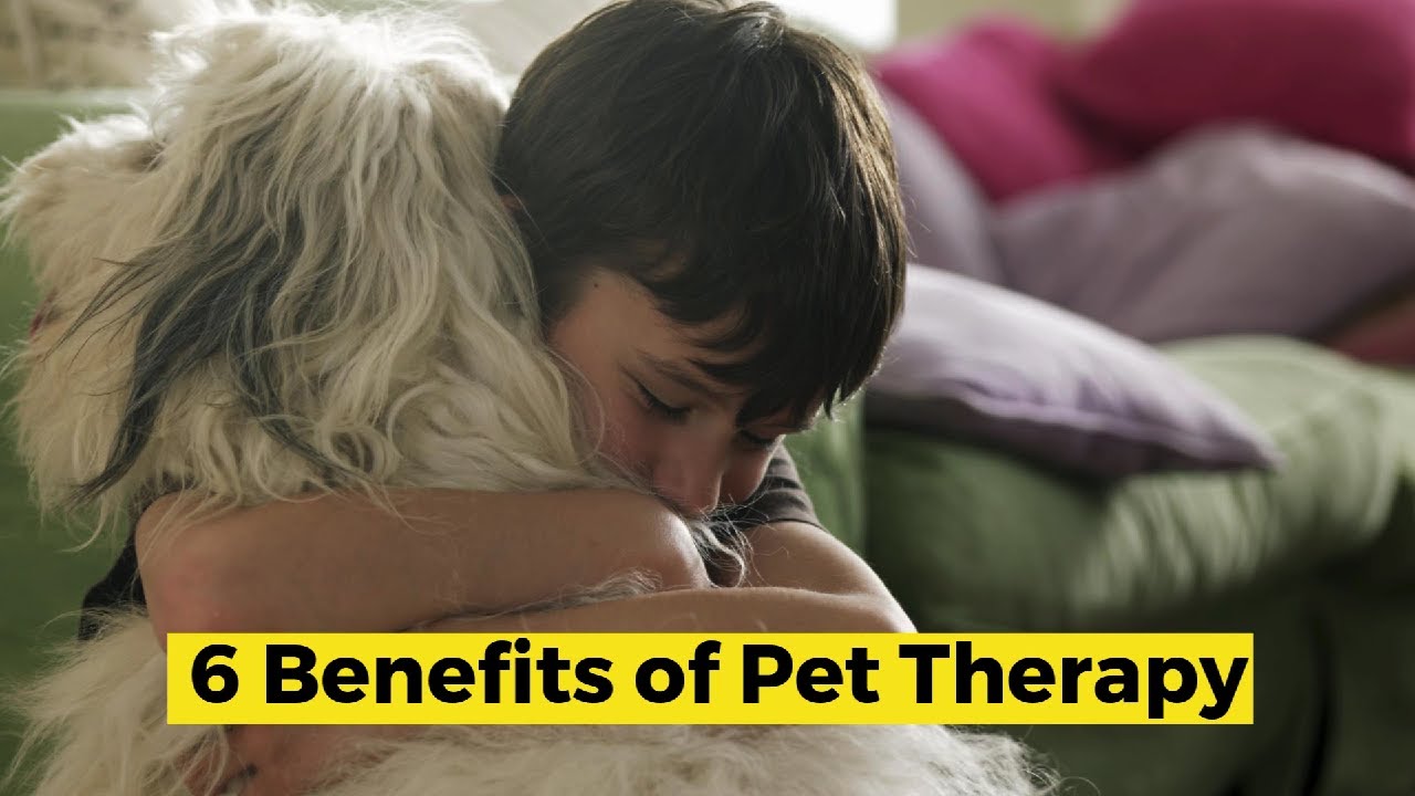 6 Benefits of Pet Therapy YouTube