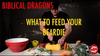 Best Food for Bearded Dragons