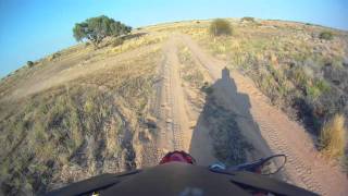 Cooper Creek Campground - Down the Guts Safari