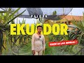 PERKEMBNAGAN BUAH NAGA KUNING PALORA EKUADOR SUDAH MUNCUL CALON BUNGA , SIAP BERBUAH