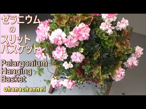Spring 🌸 Geranium Slit Basket❢ Hanging Basket Wall Decoration