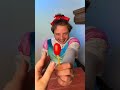Tomato Magic: The Ultimate DIY Hacks!