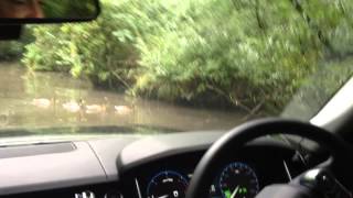 Sports Performance 2013 Range Rover wading down a stream