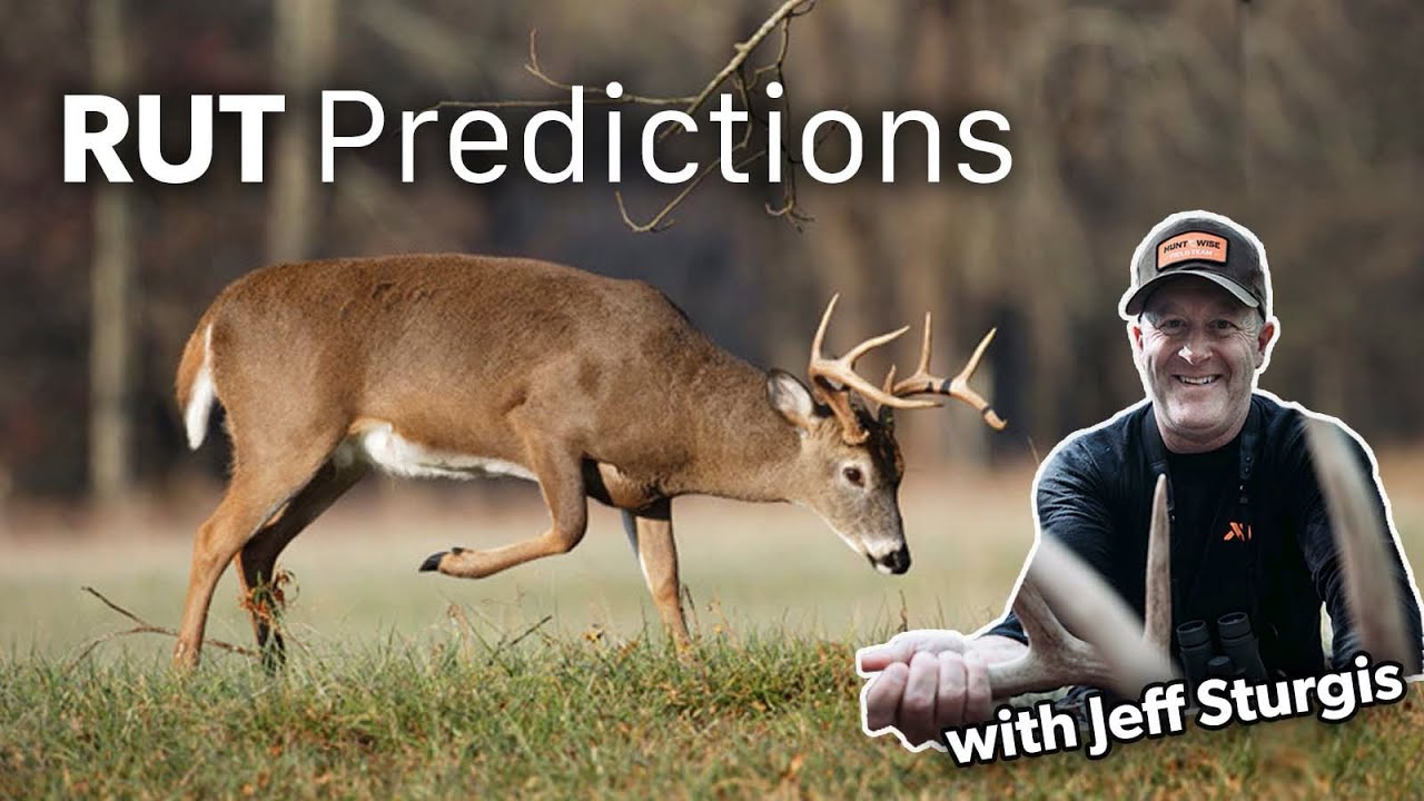 RUT PREDICTIONS Jeff Sturgis Interview * Whitetail Habitat Solutions