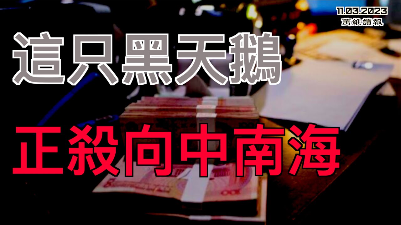 這隻黑天鵝正殺向中南海；徹底退出中國 華爾街巨頭沒有一絲留戀；荷蘭總理候選人：早該禁止ASML設備出口中國；FTX創辦人七項刑名全成立  最高可判115年（《萬維讀報》20231103-3 FACC）