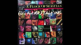 A Flock Of Seagulls - It's Not Me Talking 432 Hz