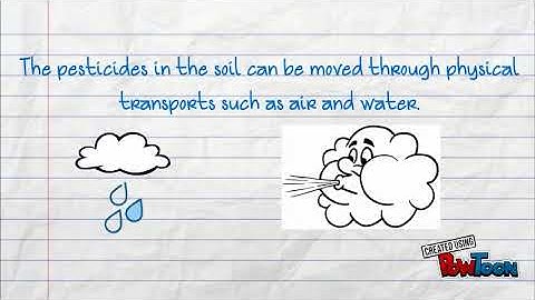 fate and transport pesticides