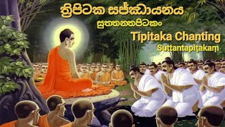 Sutta Pitaka - 2. Majjhimanikaya - 2. Majjhimapannasako - 1. Gahapati Vaggo - 04. Potaliya Sutta