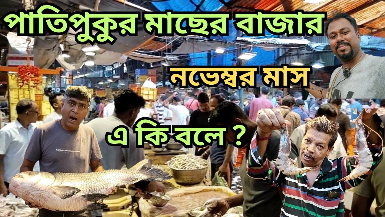 সস্তায় পাতিপুকুরের মাছ বাজার | Patipukur Fish Market | Patipukur Fish Market In Kolkata