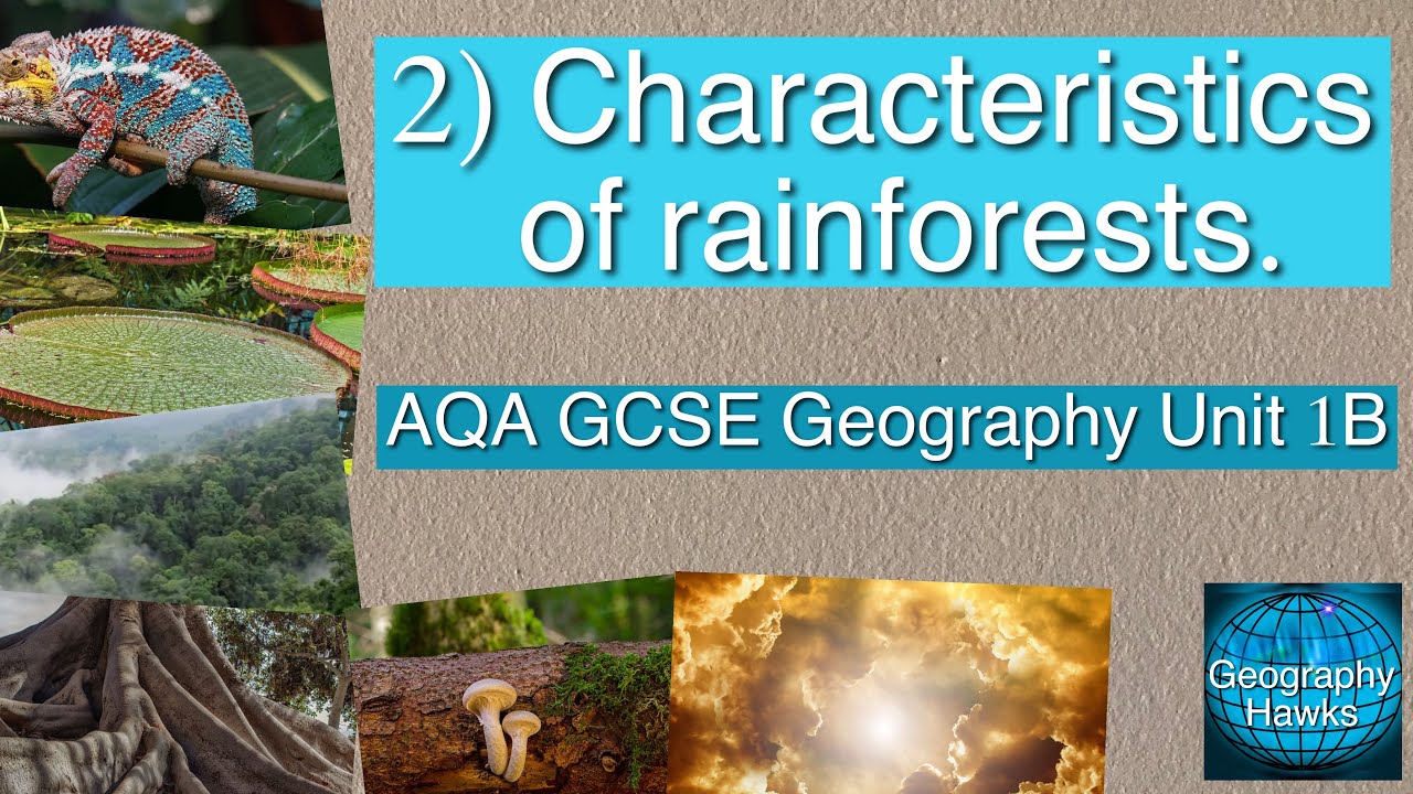 2 Characteristics Of Tropical Rainforests Aqa Gcse Geography Unit 1b Youtube
