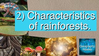 2) Characteristics of tropical rainforests - Powered by @GeographyHawks