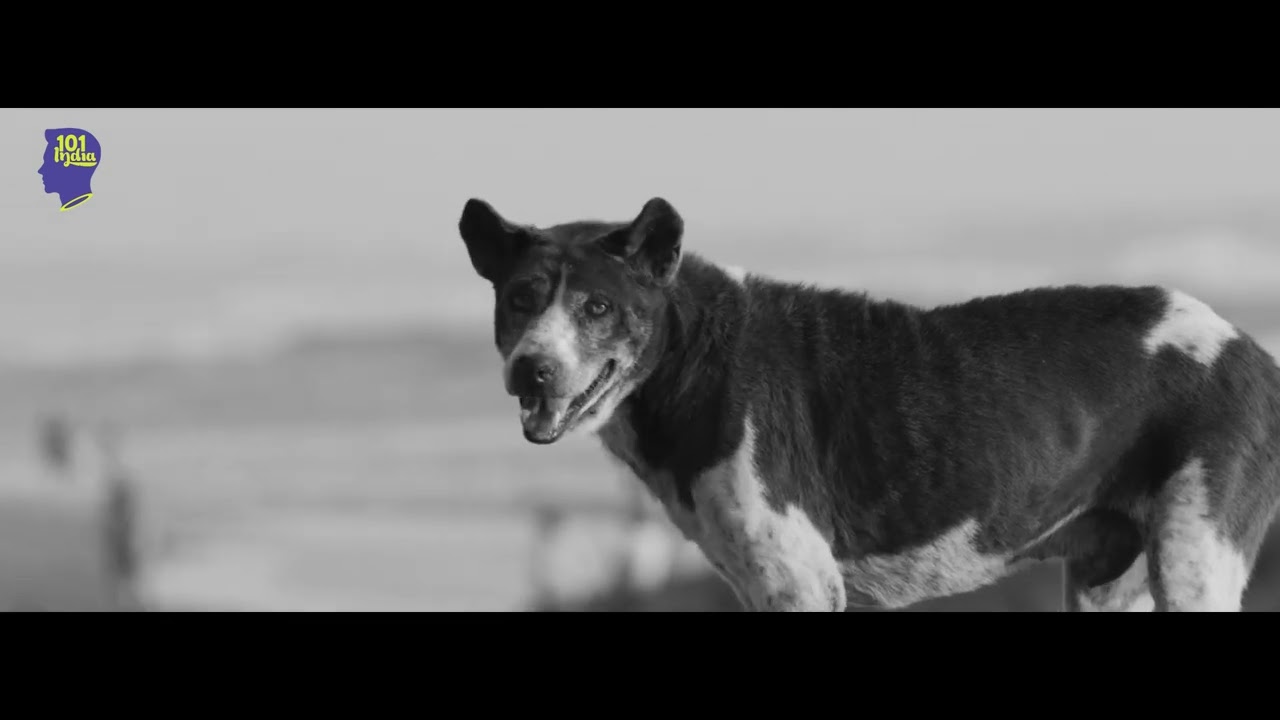 Woof Woof Coming Soon | Voice of India - 101India