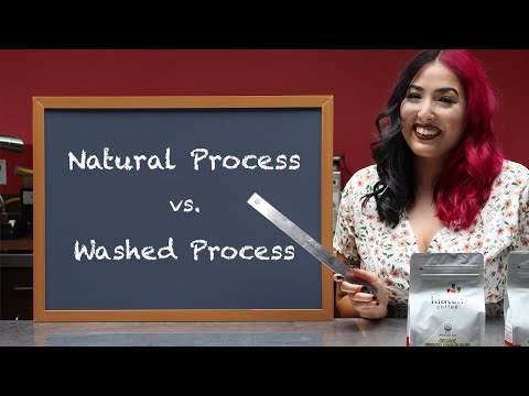 Klatch Classroom: Natural Process Coffee vs. Washed Process Coffee