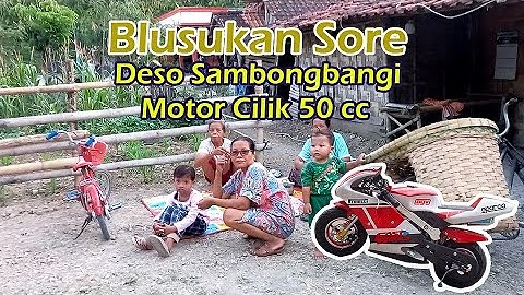 Serunya Keliling Kampung Desa Sambongbangi Sore Hari Naik Motor Mini 50 CC