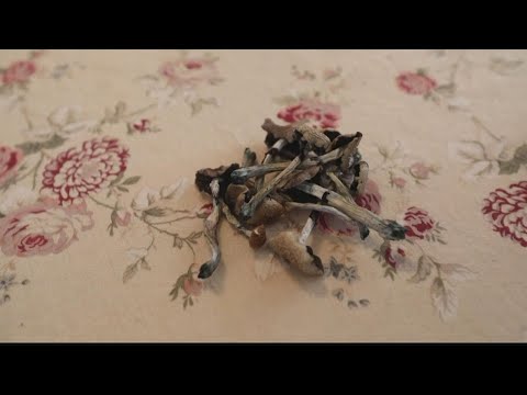 Why psychedelics were a hot topic at this Atlanta public safety meeting