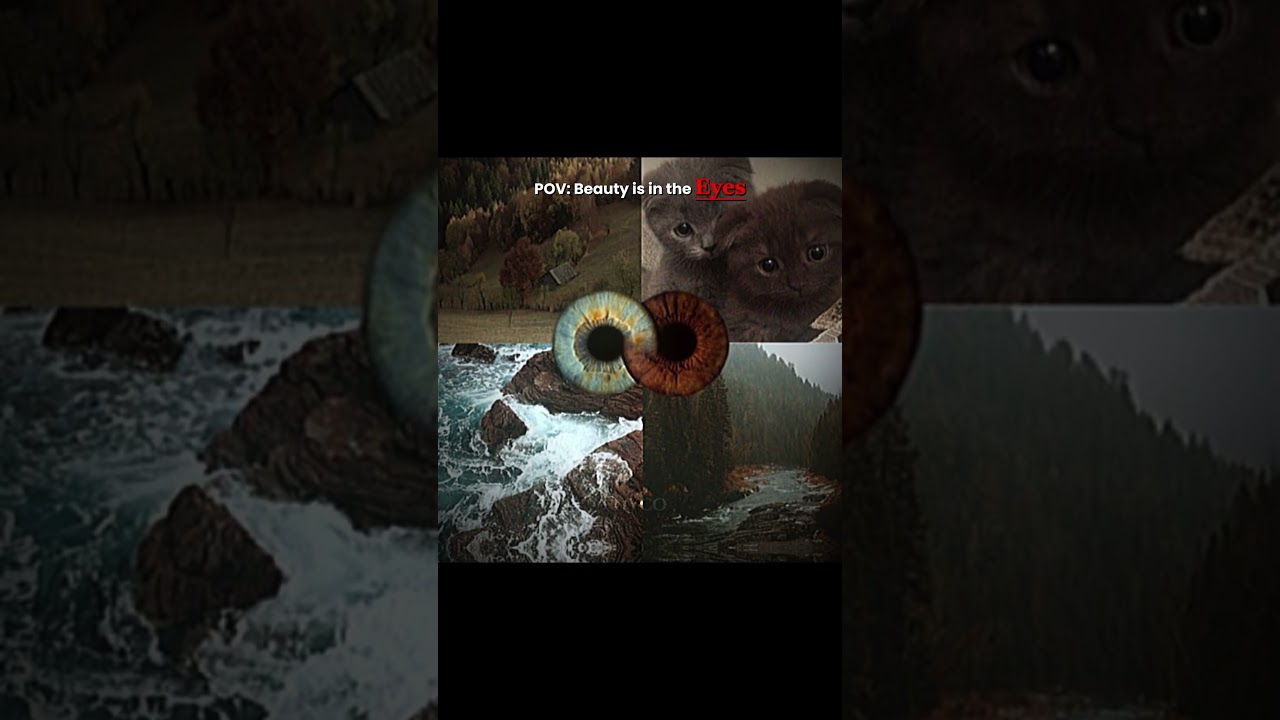 Pov: Beauty is in the EYES #aesthetic #ytshorts #youtubeshorts #edit #savage #fyp