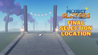How To Get To Final Selection In Project Slayers Final Selection Location