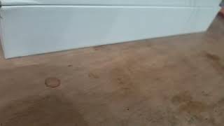 Iyoooooo for Kaban Serval Araisan Fennec Caracal Niyander And The Kemono Friends 