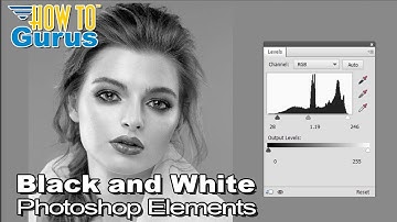 How You Can Make a Black and White Portrait Convert from Color in Photoshop Elements