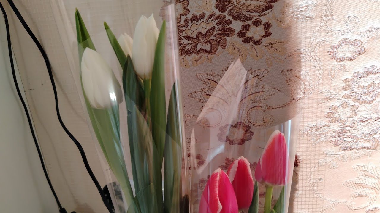 ВЛОГ Сёма кушает корм?😳 Приятный сюрприз💐