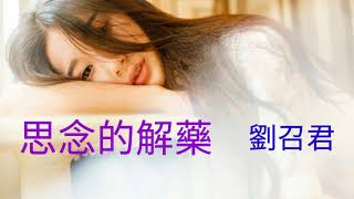 《思念的解藥》演唱 : 劉召君
