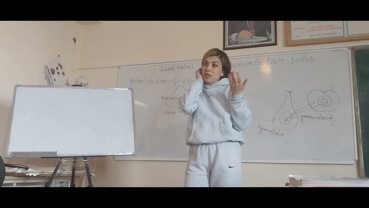 Örtülütoxumlular şöbəsi / İkiləpəlilər sinfi və fəsilələri dərs izahı