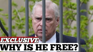 The Shocking Truth Behind Prince Andrew's Billionaire Wealth Revealed! 💰