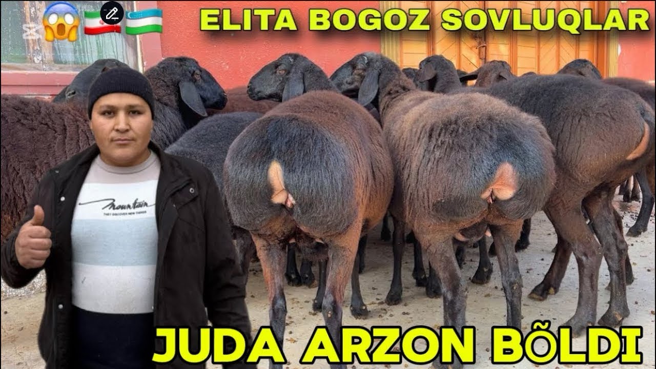 DONIYORBEKGA YANGI PARTIYA KELDI SHOSHLING 