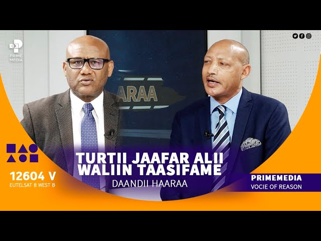 Daandii Haaraa | Turtii Jaafar Alii Waliin Taasifame | Prime Media