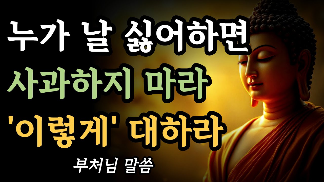 누가 날 싫어하면 사과하지 마라 이렇게 하라ㅣ부처님 말씀ㅣ불교 명언ㅣ마음ㅣ행복ㅣ지혜ㅣ인생ㅣ석가모니