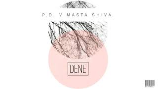 P.D. V Masta Shiva-Dene  #Dene Resimi