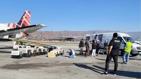 84 Dogs & Cats Fly to Safety from LA Wildfires