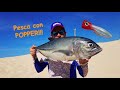 Pesca! - Día con grandes capturas