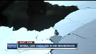 Vehicles' windows broken on east side, BB guns found