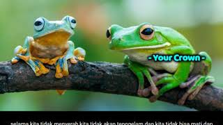 Belajar dari Kisah Katak yang Pantang Menyerah!!!