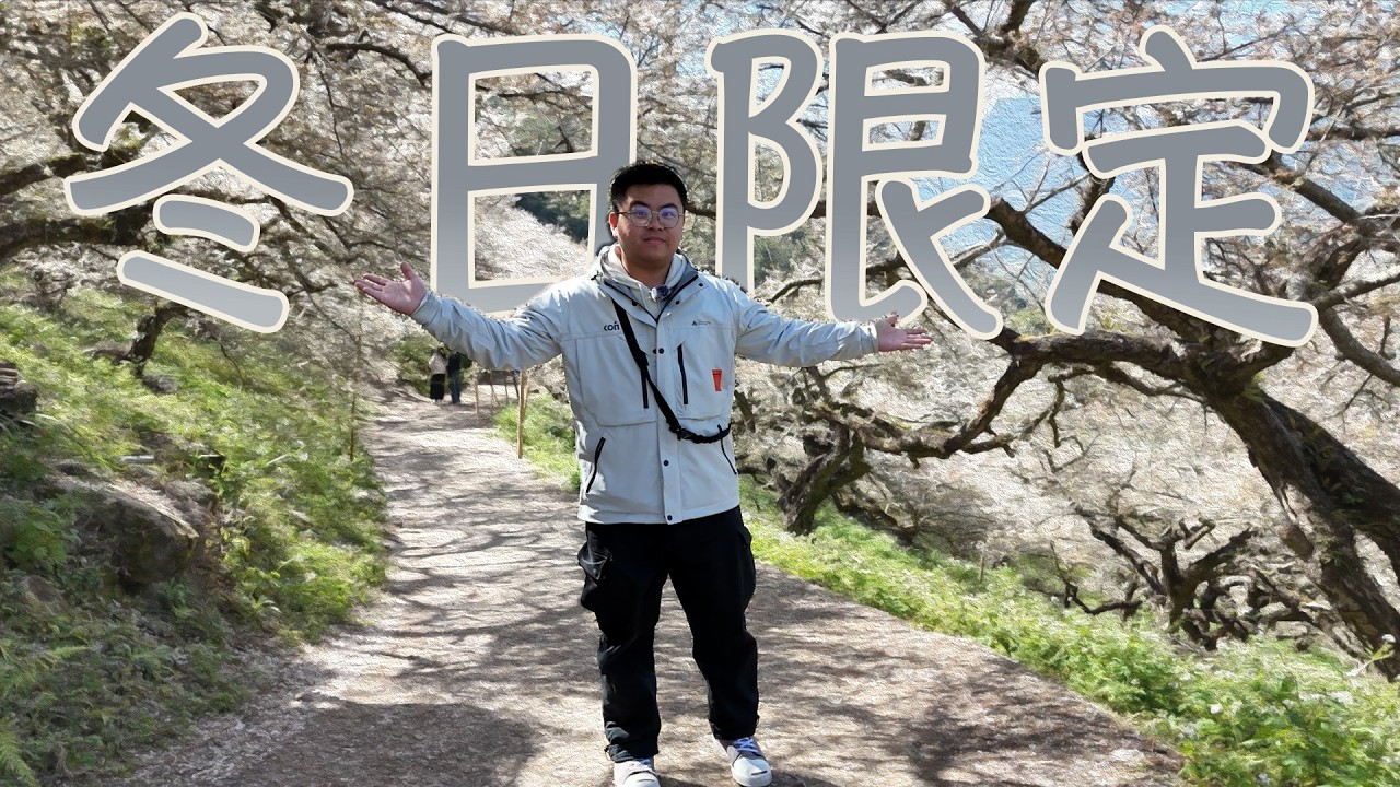 【南投信義】冬日限定雪白浪漫！蔡家梅園尋梅、梅子夢工場微醺體驗、鹿芝谷與萌寵互動 🏔️✨