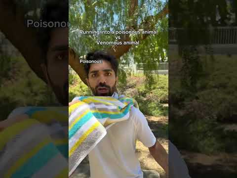 Running into a poisonous animal vs venomous animal. #shorts #skit #funny