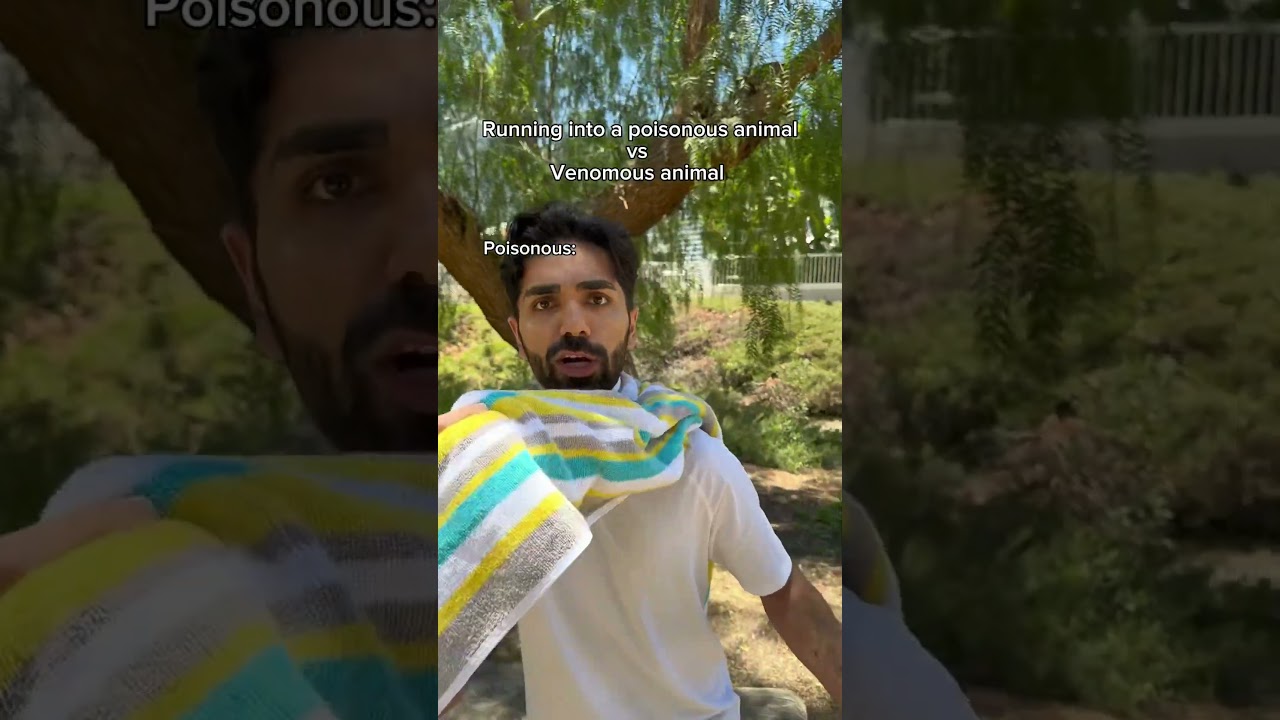 Running into a poisonous animal vs venomous animal. #shorts #skit #funny