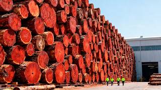 How The Most Expensive Wood Is Processed In Factory
