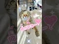 みんなは何が好きー?#cat #shorts #猫 #icecream