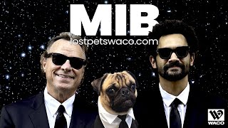 Lost Pets Waco Map (MIB Style!) - City of Waco, Texas