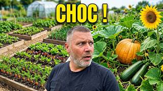 Je rentre de vacances : Le choc en voyant les potagers voisins ! #hautsdefrance