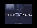 zhanulka - ты похож на кота