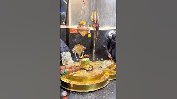 Shambu Mere Sang | Hansraj Raghuwanshi | Mahadev WhatsApp status #mahadevstatus