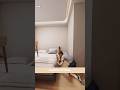 A luxury bedroom was built for bittu  3d animation by curious of how  shorts