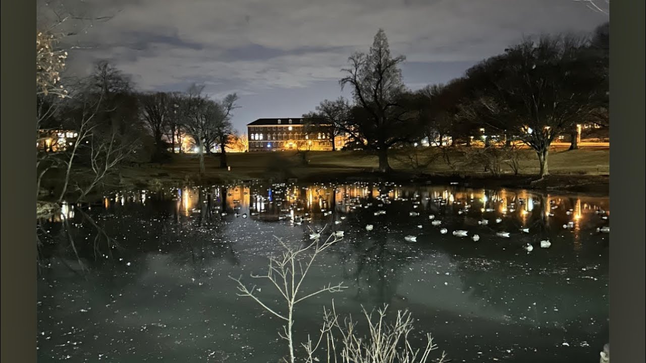 Don’t Need Your Mind(feat. Nickelo Ultra) -audio