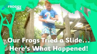 Our Frogs Tried a Slide… Here’s What Happened! | Froggy Kids